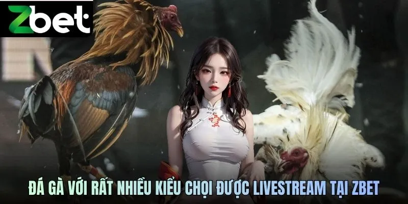 Đá gà với rất nhiều kiểu chọi được livestream tại ZBET